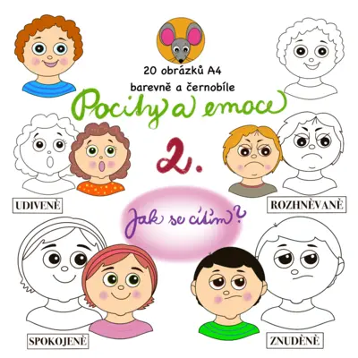 Pocity a emoce 2.