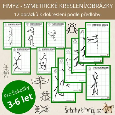  Symetrické obrázky/kreslení - HMYZ 