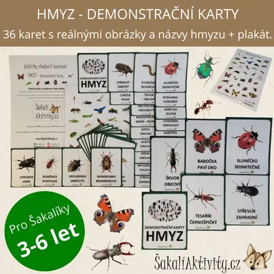  HMYZ - demonstrační karty 
