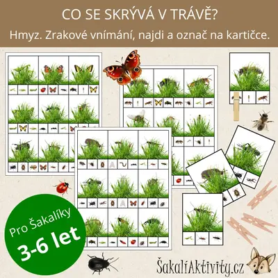 HMYZ - Co se skrývá v trávě? - zrakové vnímání 