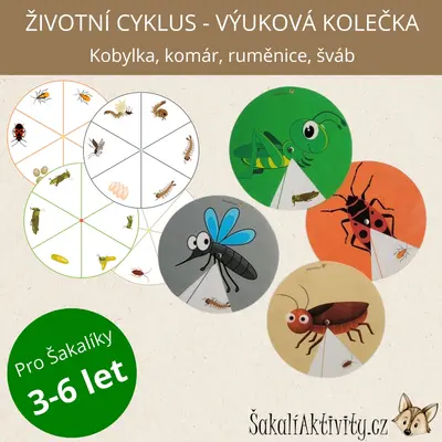  ŽIVOTNÍ CYKLUS - kobylka, komár, ruměnice, šváb 