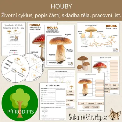  HOUBY - výukové kolečko, životní cyklus, popis částí 