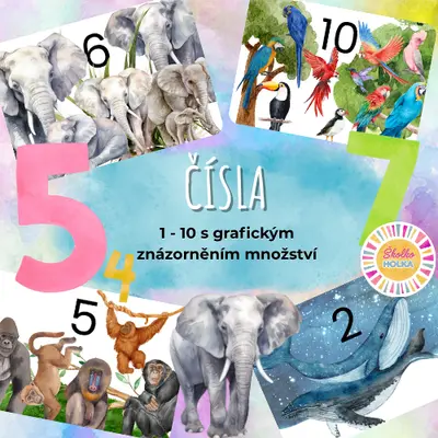 ČÍSLA (1 - 10) demonstrační kartičky