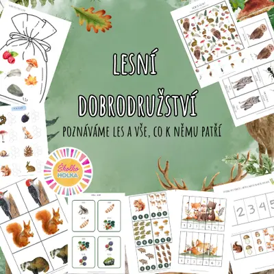 Lesní dobrodružství - Poznáváme les a vše, co k němu patří