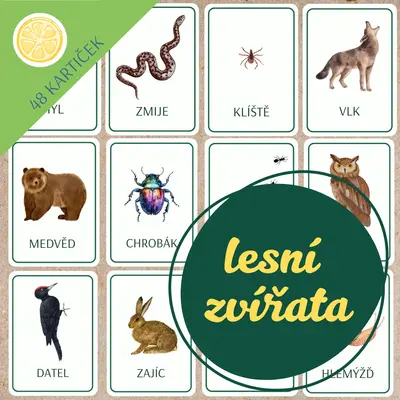 LESNÍ ZVÍŘATA | obrázkové demonstrační kartičky