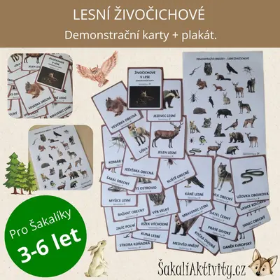  Lesní živočichové - demonstrační karty 