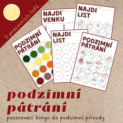 Podzimní pátrání | pozorovací bingo do přírody