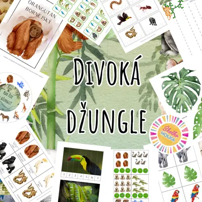 Divoká džungle