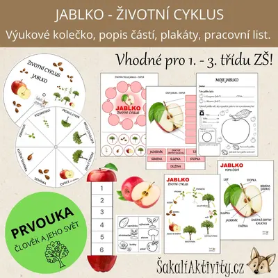  JABLKO - výukové kolečko, životní cyklus, popis částí 