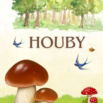 Houby