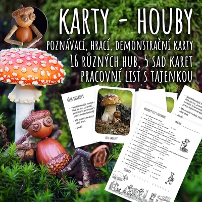 Houby - hrací, poznávací a demonstrační karty + pracovní list s tajenkou