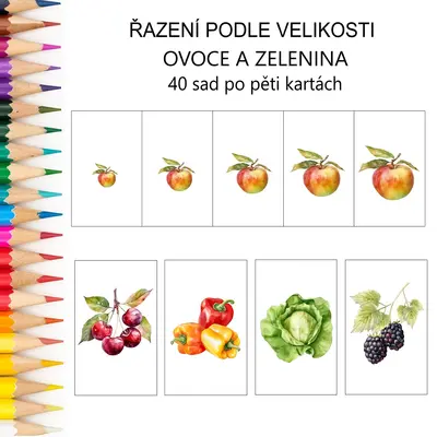 Řazení podle velikosti OVOCE A ZELENINA - 38 druhů, 200 karet