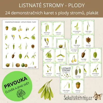  Listnaté stromy - plody - demonstrační karty 