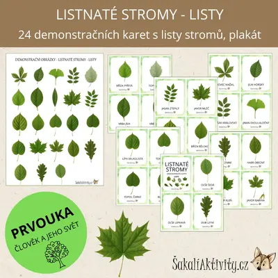  Listnaté stromy - listy - demonstrační karty 