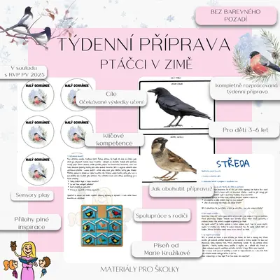 Týdenní příprava - Ptáčci v zimě