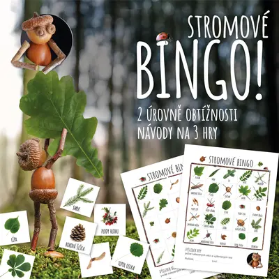 Stromové bingo - poznáváme naše stromy