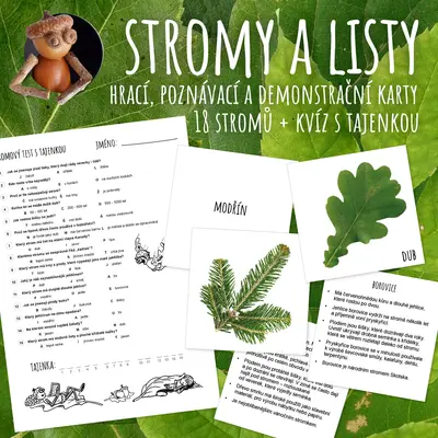 Stromy a listy - hrací, poznávací a demonstrační karty + kvíz s tajenkou