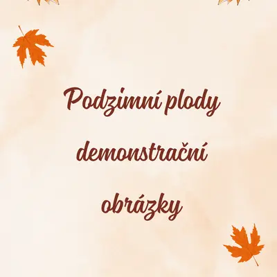 Podzimní plody - demonstrační obrázky