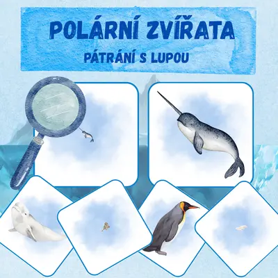 POLÁRNÍ ZVÍŘATA - PÁTRÁNÍ S LUPOU 