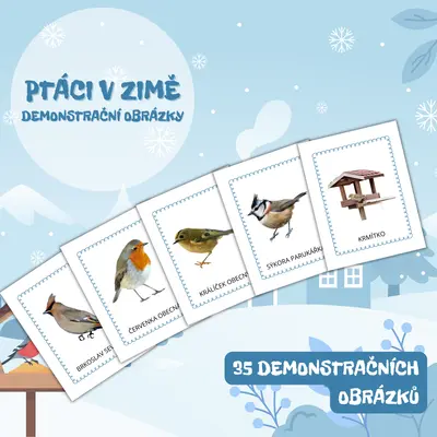PTÁCI V ZIMĚ - demonstrační obrázky