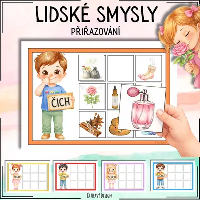 Lidské smysly 