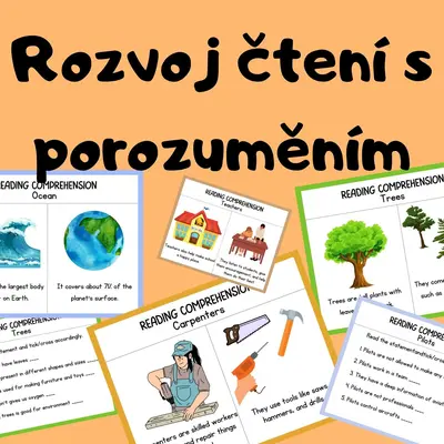 Čtení s porozuměním - angličtina