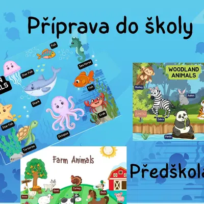 Příprava do školy - angličtina