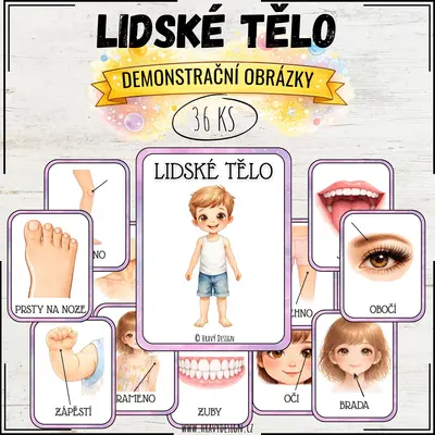 Demonstrační obrázky - lidské tělo