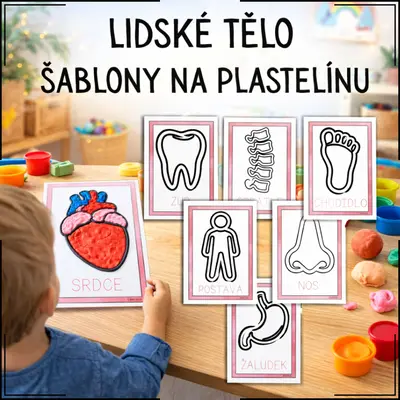 Šablony na plastelínu - Lidské tělo