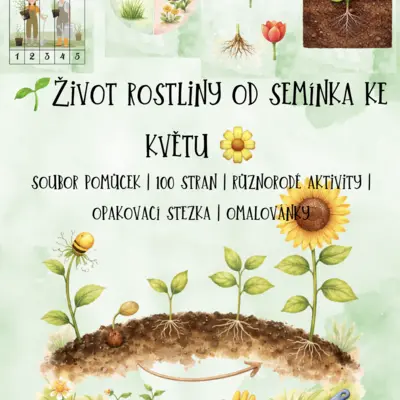 🌱 Život rostliny od semínka ke květu