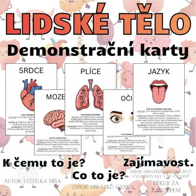 LIDSKÉ TĚLO - demonstrační obrázky s popisem
