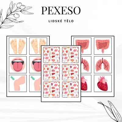 Pexeso - lidské tělo