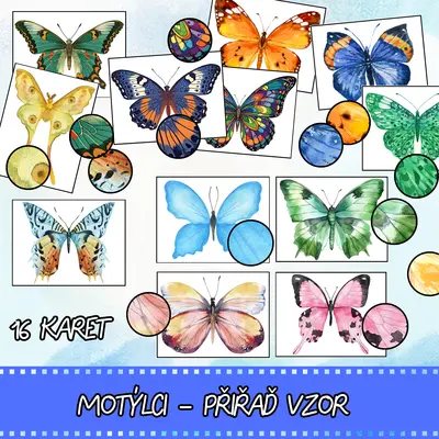 Motýlci - Přiřaď vzor