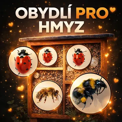 Hmyzí hotel