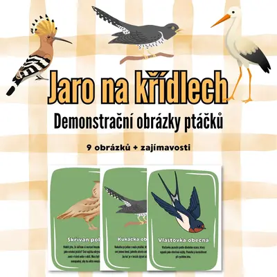 Jaro na křídlech – Demonstrační obrázky jarních ptáků