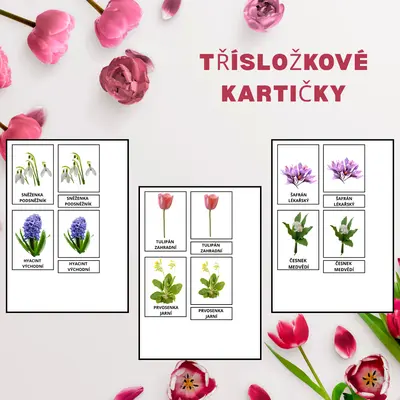 Třísložkové karty - jarní květiny