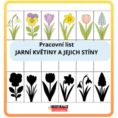Jarní květiny a jejich stíny (zdarma)
