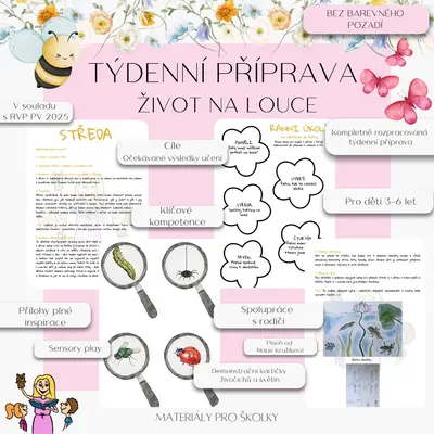 Týdenní příprava - Život na louce