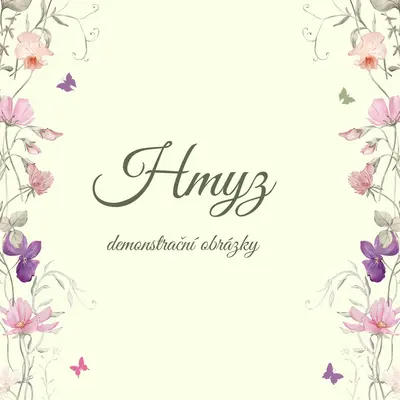 Hmyz - demonstrační obrázky