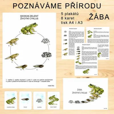 ŽÁBA - POZNÁVÁME PŘÍRODU