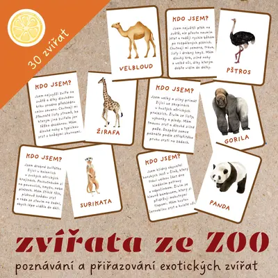 KDO JSEM? EXOTICKÁ ZVÍŘATA - KARTIČKY K PŘIŘAZOVÁNÍ