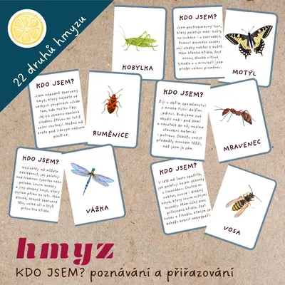 KDO JSEM? HMYZ - KARTIČKY K PŘIŘAZOVÁNÍ