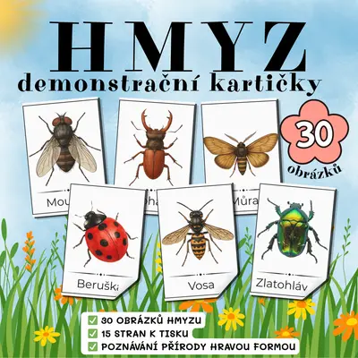Hmyz – demonstrační kartičky | 30 obrázků k tisku