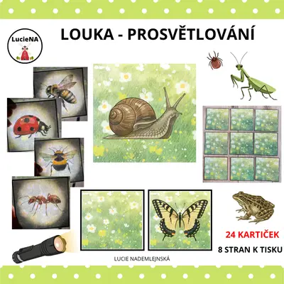 LOUKA PROSVĚTLOVÁNÍ