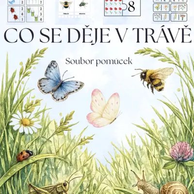 🌼 CO SE DĚJE V TRÁVĚ – výuková a hravá sada pro MŠ 🐞 (bez barevného pozadí) 