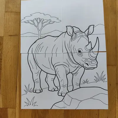 Safari zvířata - maxi kooperativní spojovací omalovánky 