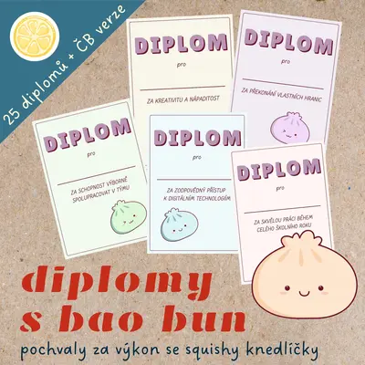 DIPLOMY S BAO BUN