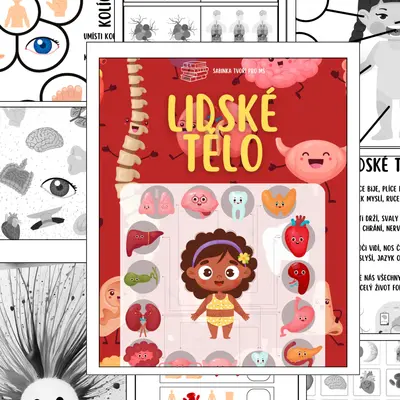 Lidské tělo