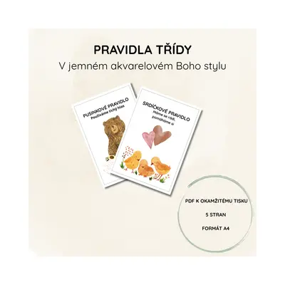 Pravidla třídy