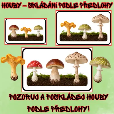 HOUBY – SKLÁDÁNÍ PODLE PŘEDLOHY